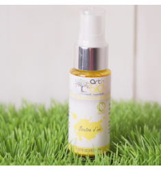 Encres scintillantes Spray
 Couleur-Citrouille